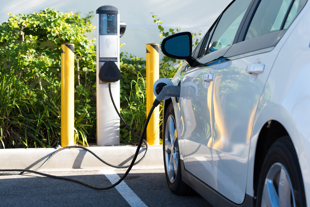 Hybrid Vehicles in Trinidad & Tobago: Top Models, Costs, and What to Know