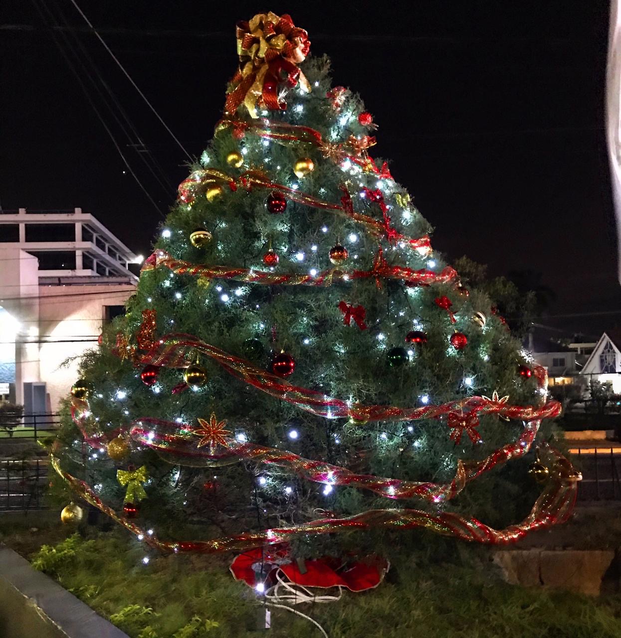 GenAc Christmas Tree
