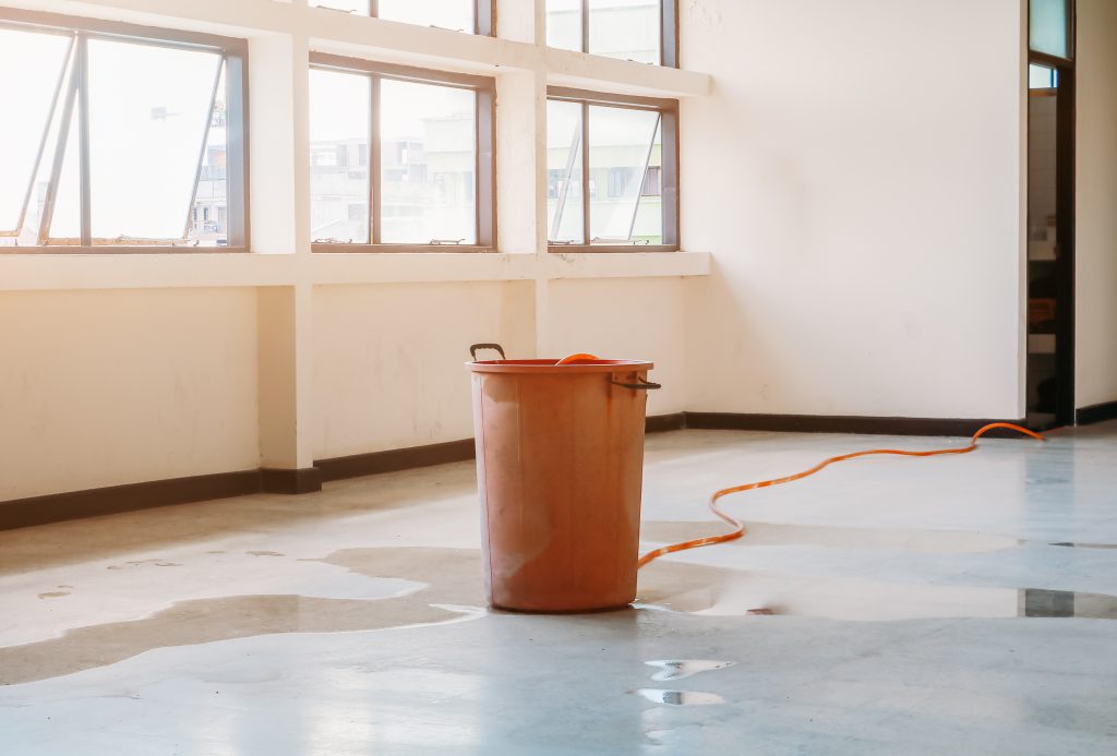 Clean Up Your Flooded Basement